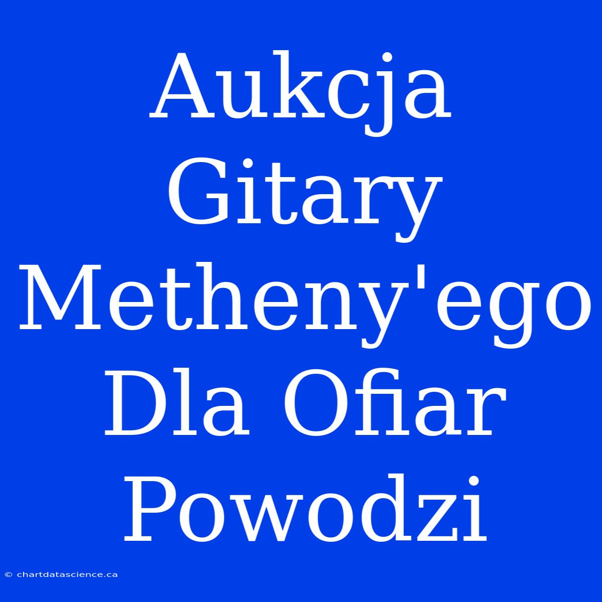 Aukcja Gitary Metheny'ego Dla Ofiar Powodzi