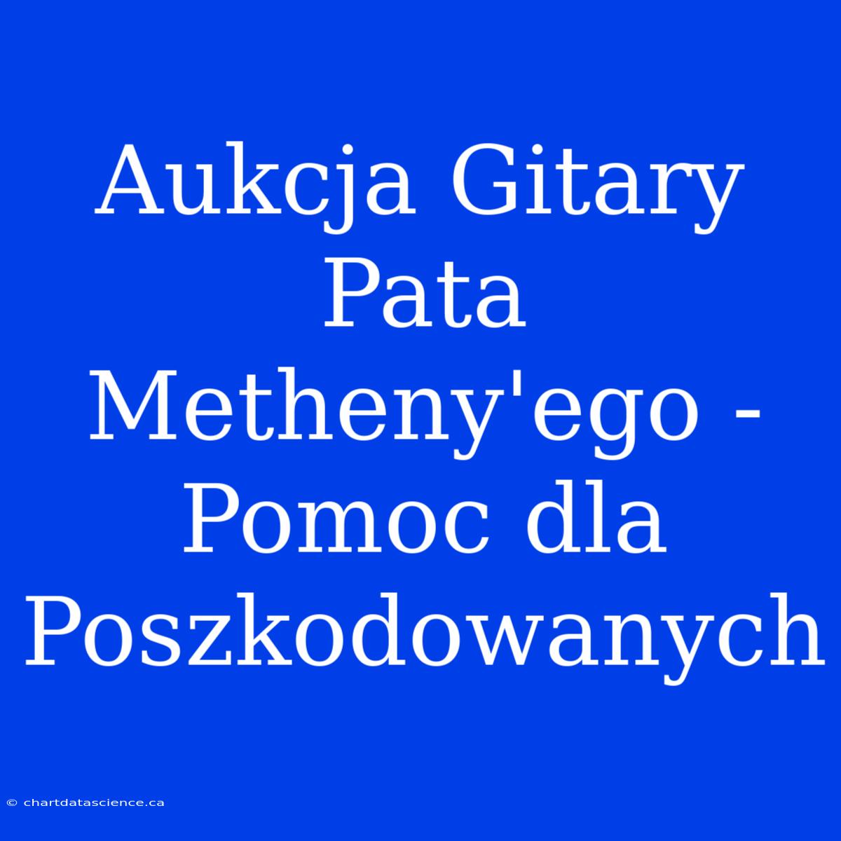 Aukcja Gitary Pata Metheny'ego - Pomoc Dla Poszkodowanych