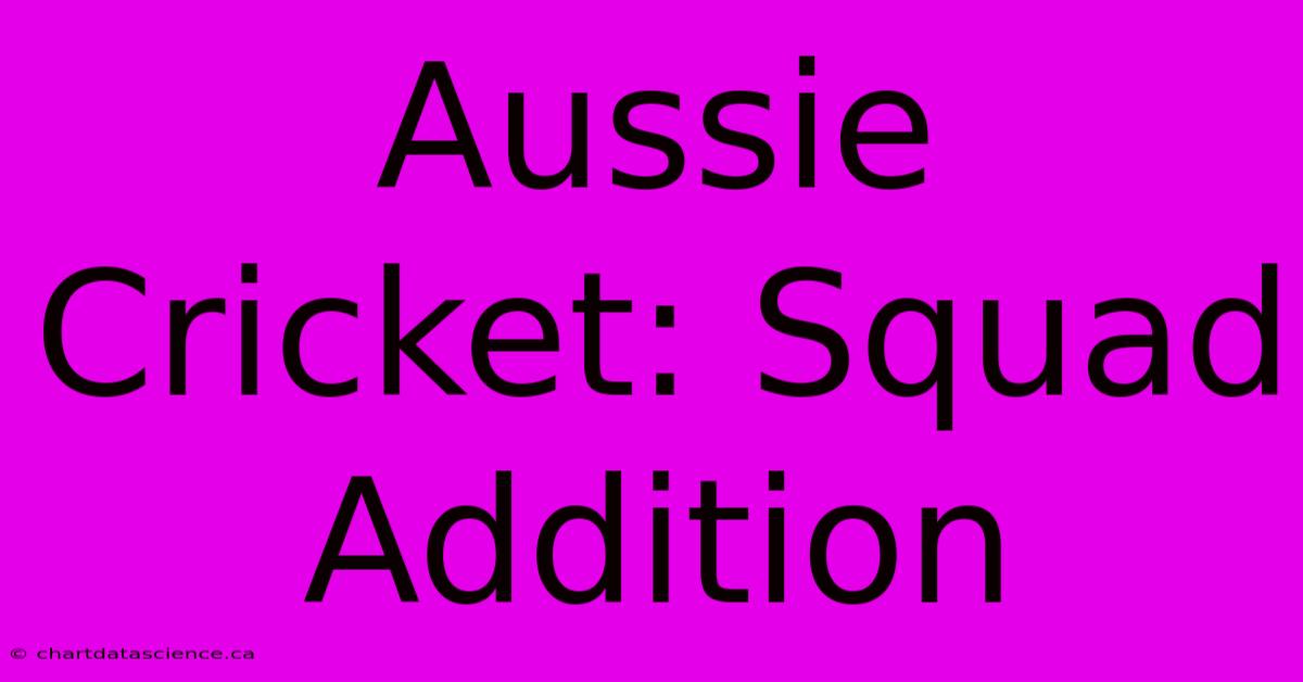 Aussie Cricket: Squad Addition