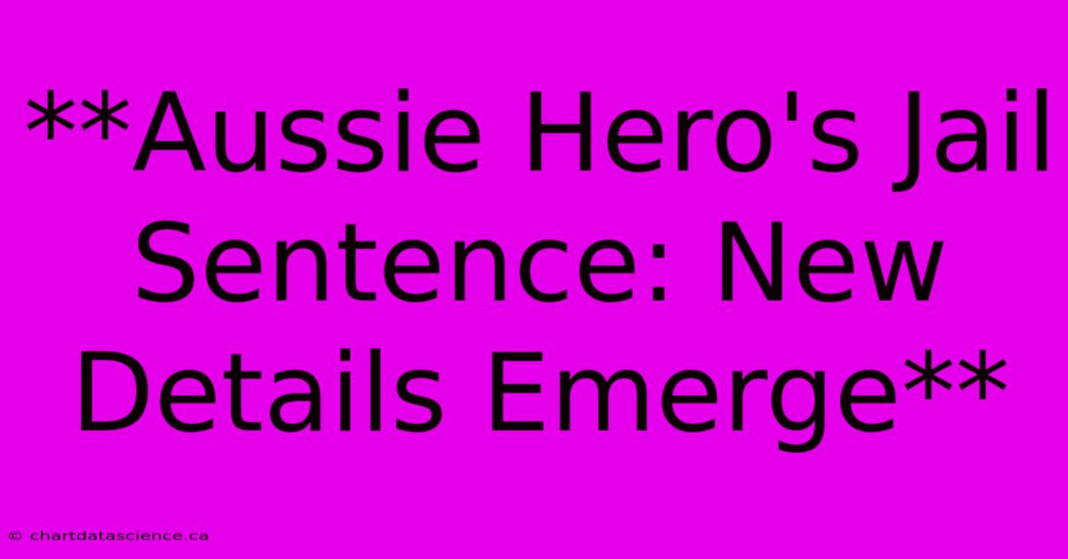 **Aussie Hero's Jail Sentence: New Details Emerge** 