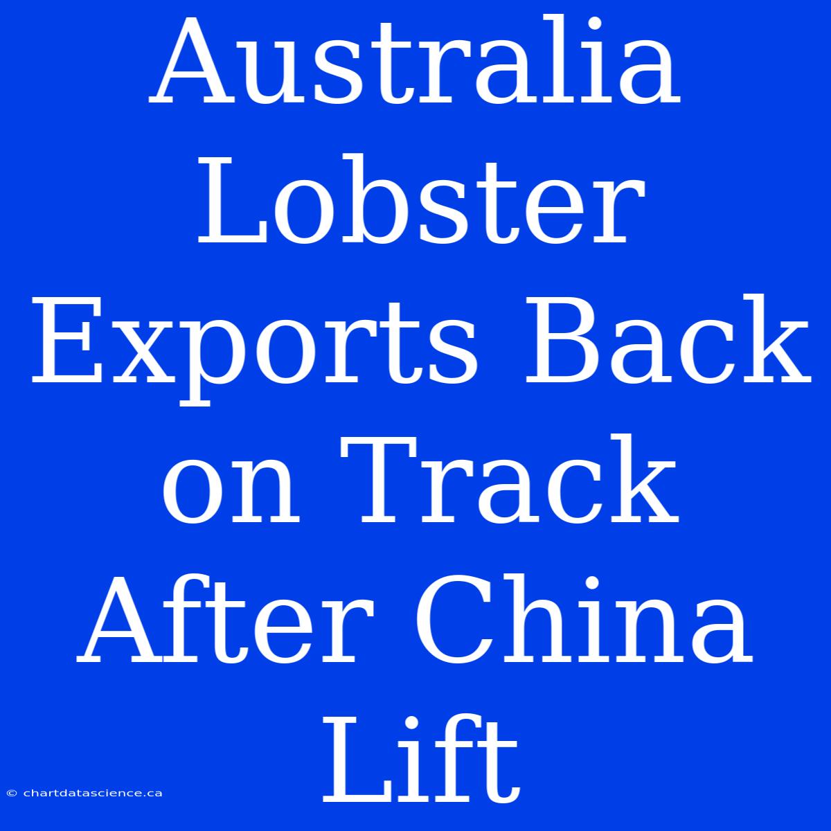 Australia Lobster Exports Back On Track After China Lift