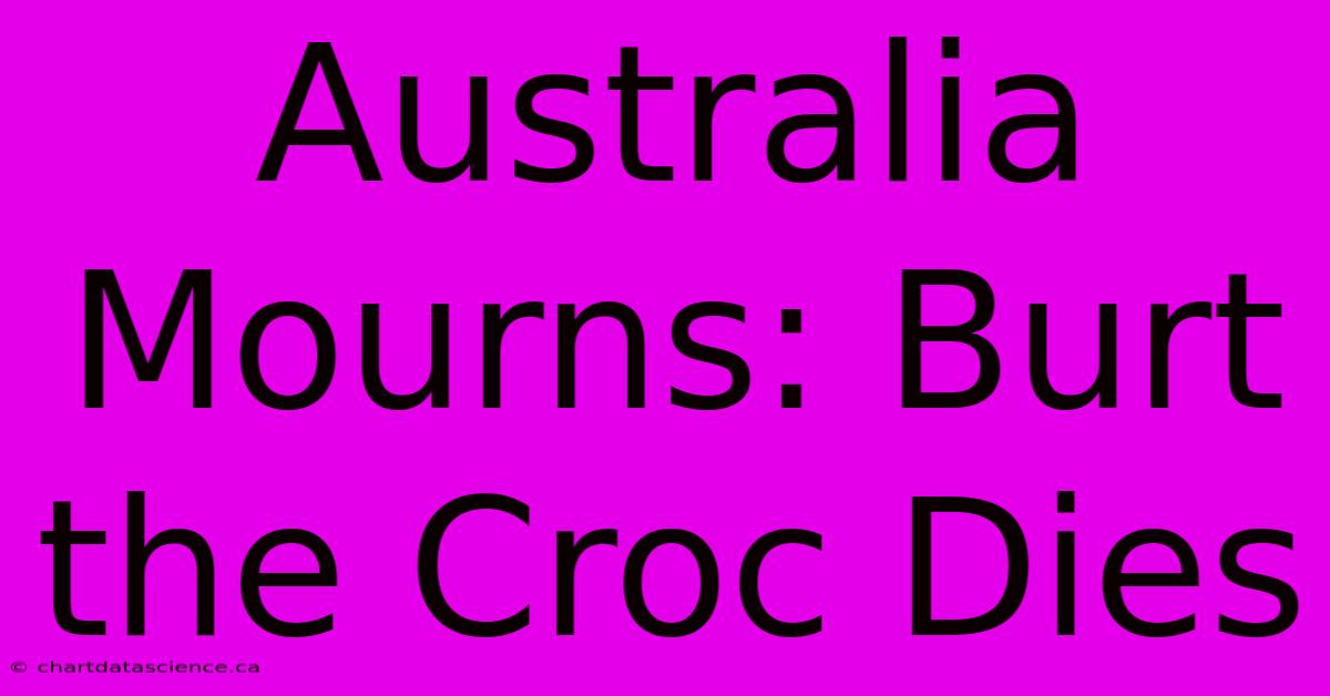 Australia Mourns: Burt The Croc Dies