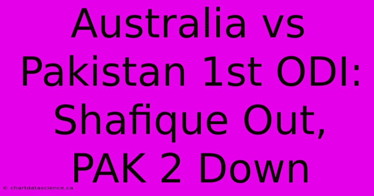 Australia Vs Pakistan 1st ODI: Shafique Out, PAK 2 Down 