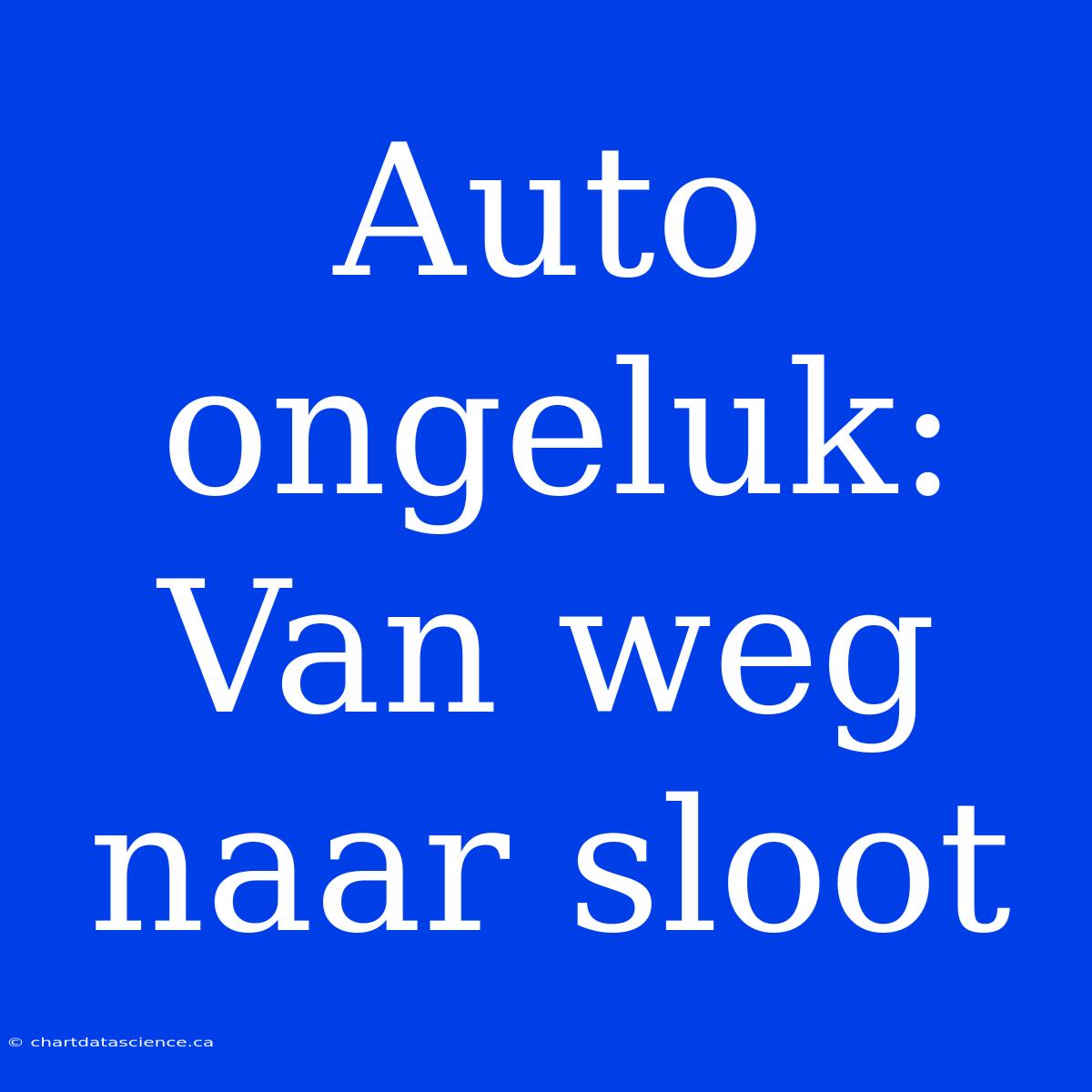 Auto Ongeluk: Van Weg Naar Sloot