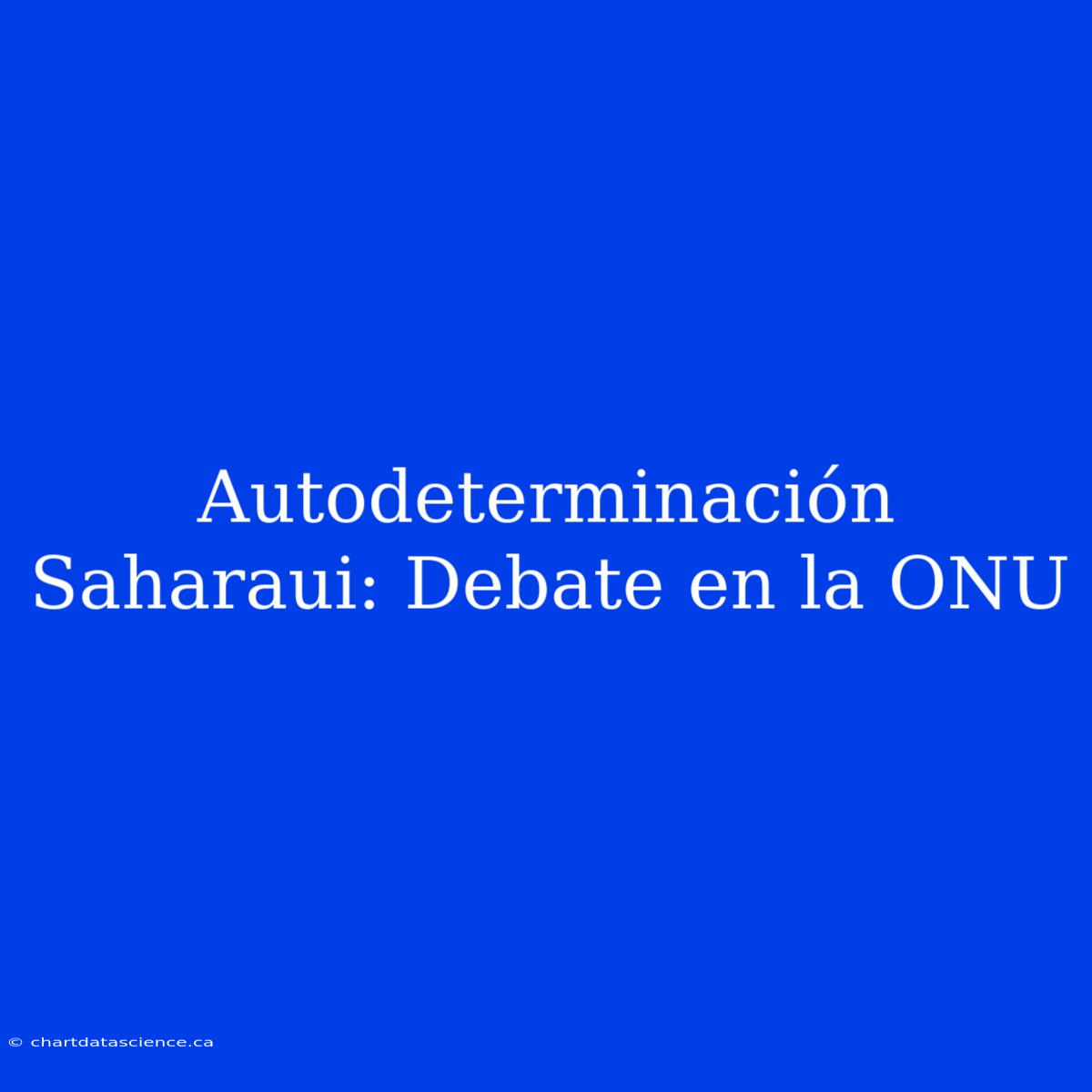 Autodeterminación Saharaui: Debate En La ONU