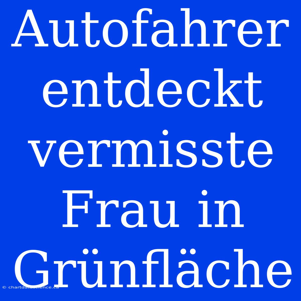 Autofahrer Entdeckt Vermisste Frau In Grünfläche