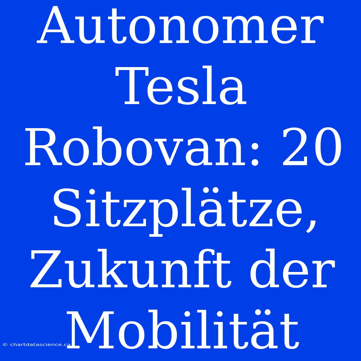 Autonomer Tesla Robovan: 20 Sitzplätze, Zukunft Der Mobilität