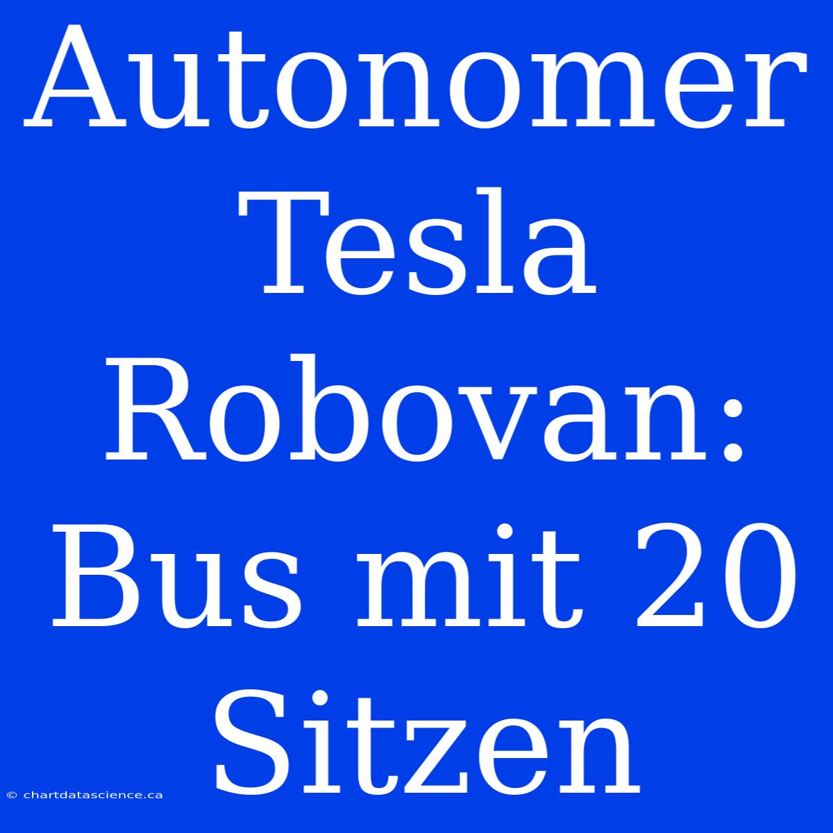 Autonomer Tesla Robovan: Bus Mit 20 Sitzen