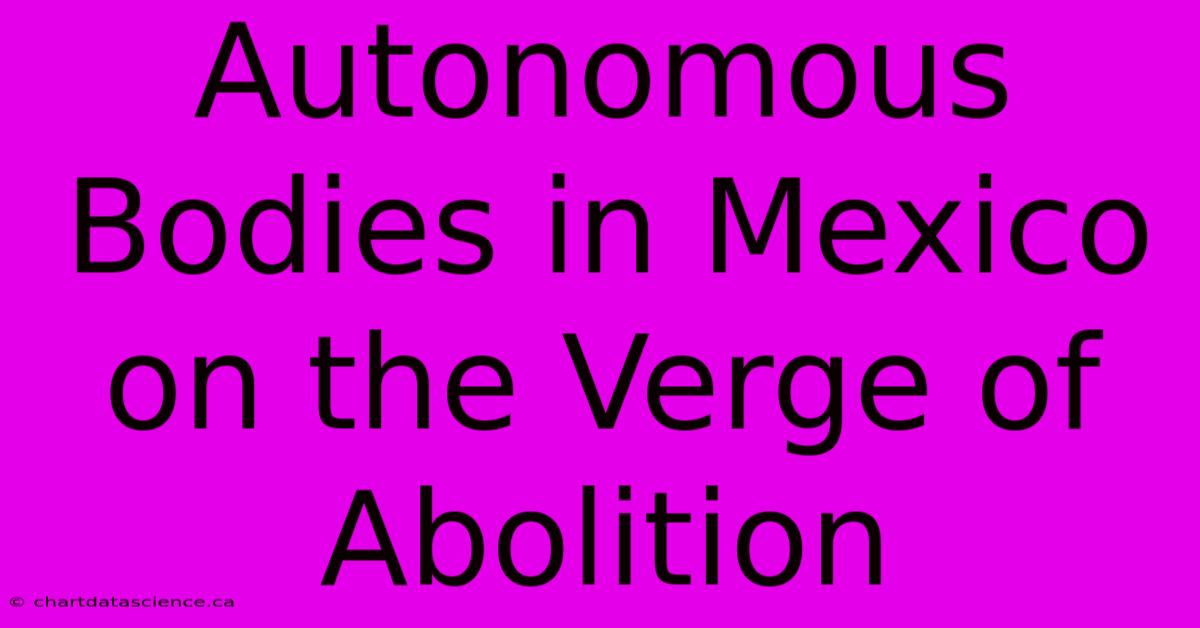 Autonomous Bodies In Mexico On The Verge Of Abolition