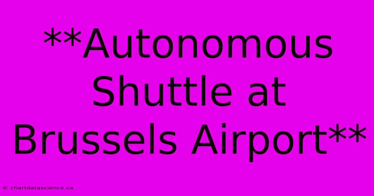 **Autonomous Shuttle At Brussels Airport**