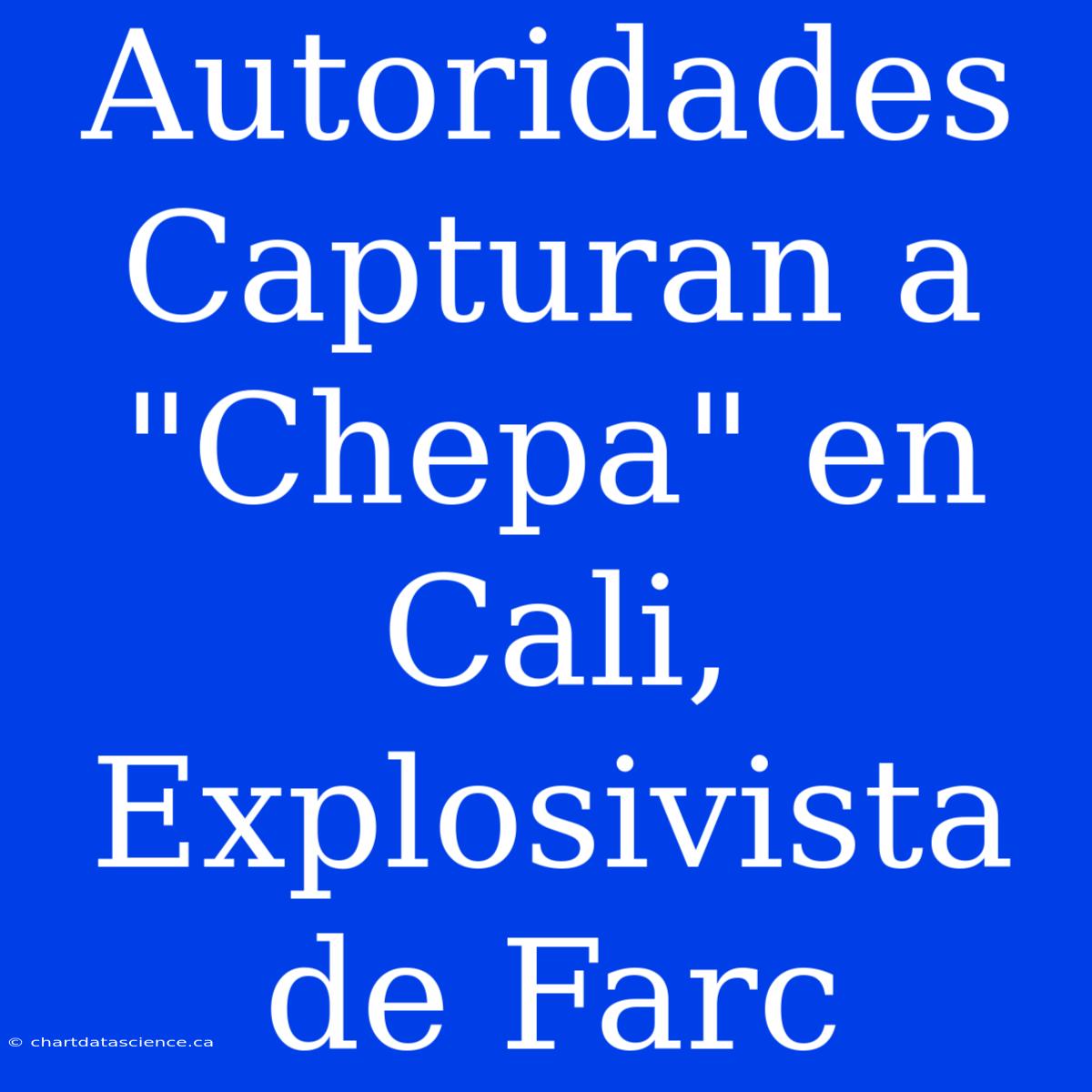 Autoridades Capturan A 