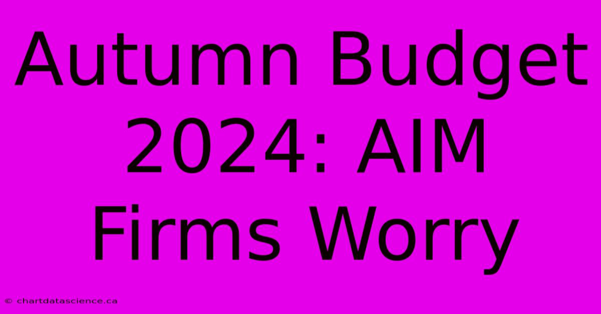 Autumn Budget 2024: AIM Firms Worry