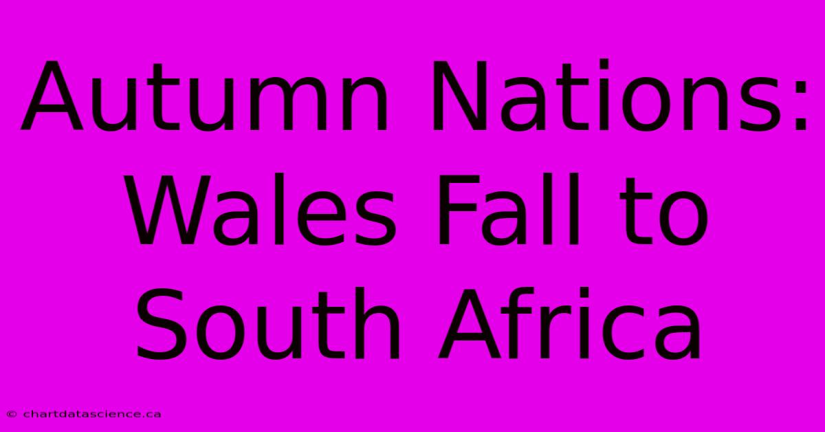 Autumn Nations: Wales Fall To South Africa