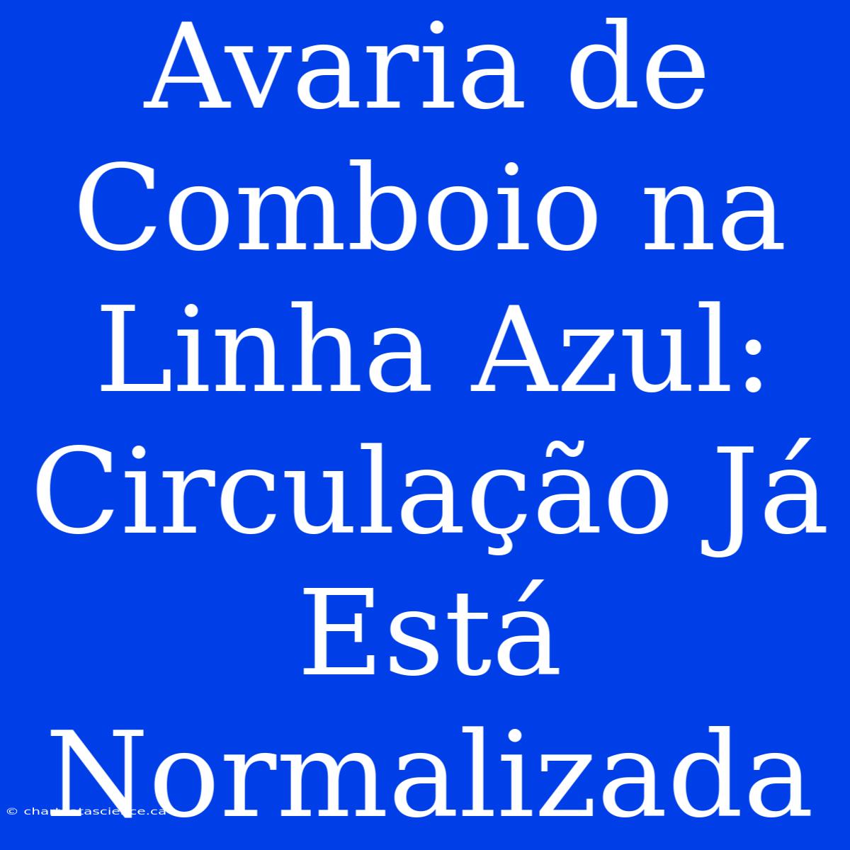 Avaria De Comboio Na Linha Azul: Circulação Já Está Normalizada