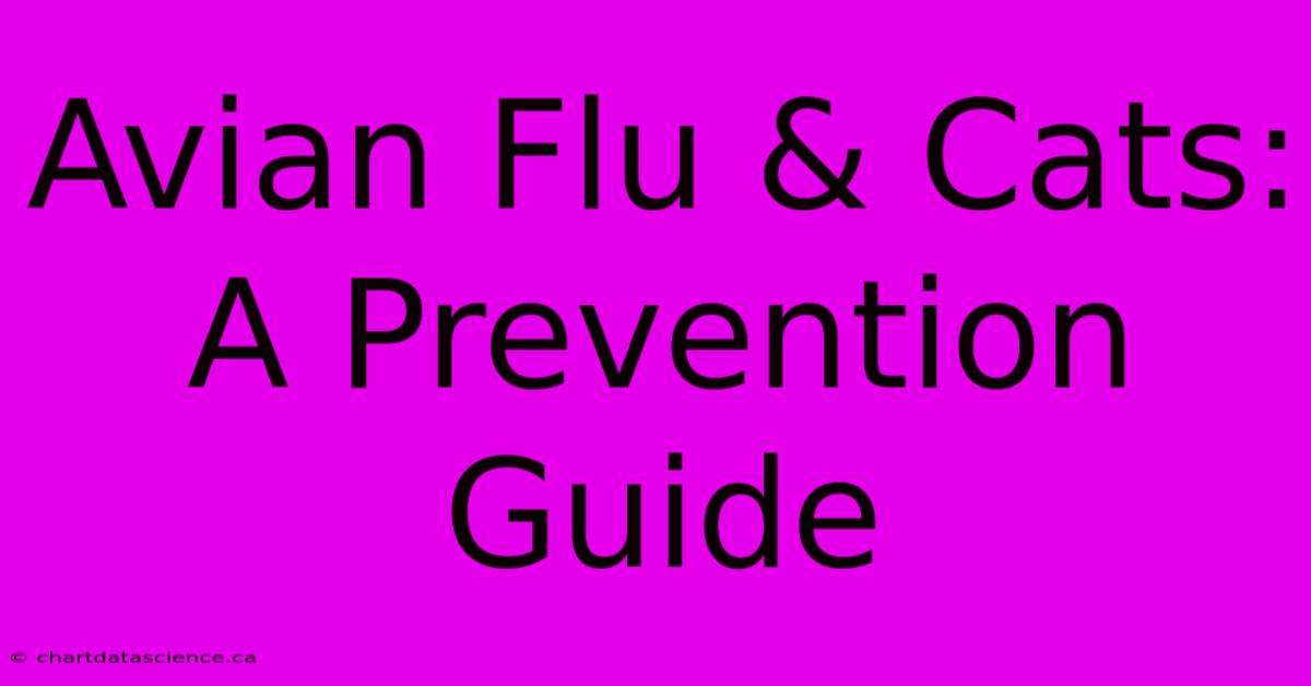 Avian Flu & Cats: A Prevention Guide