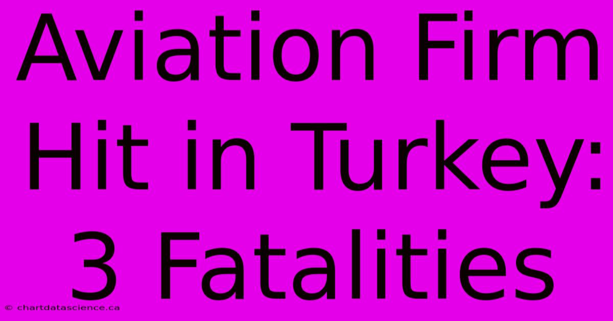 Aviation Firm Hit In Turkey: 3 Fatalities 