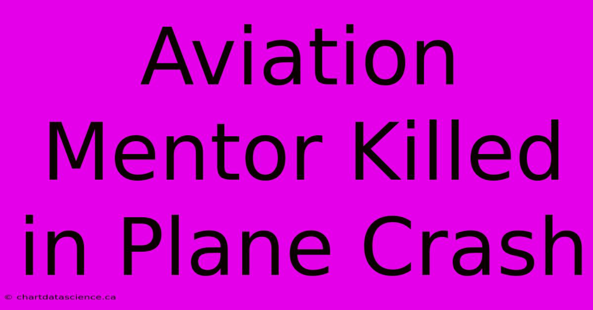 Aviation Mentor Killed In Plane Crash