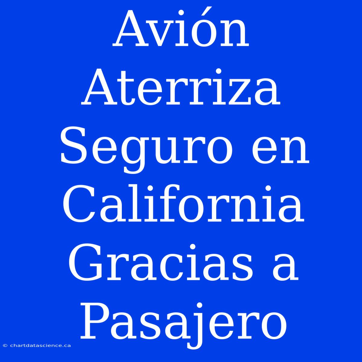 Avión Aterriza Seguro En California Gracias A Pasajero