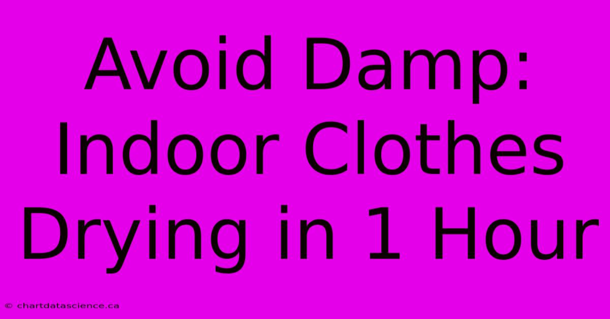 Avoid Damp: Indoor Clothes Drying In 1 Hour