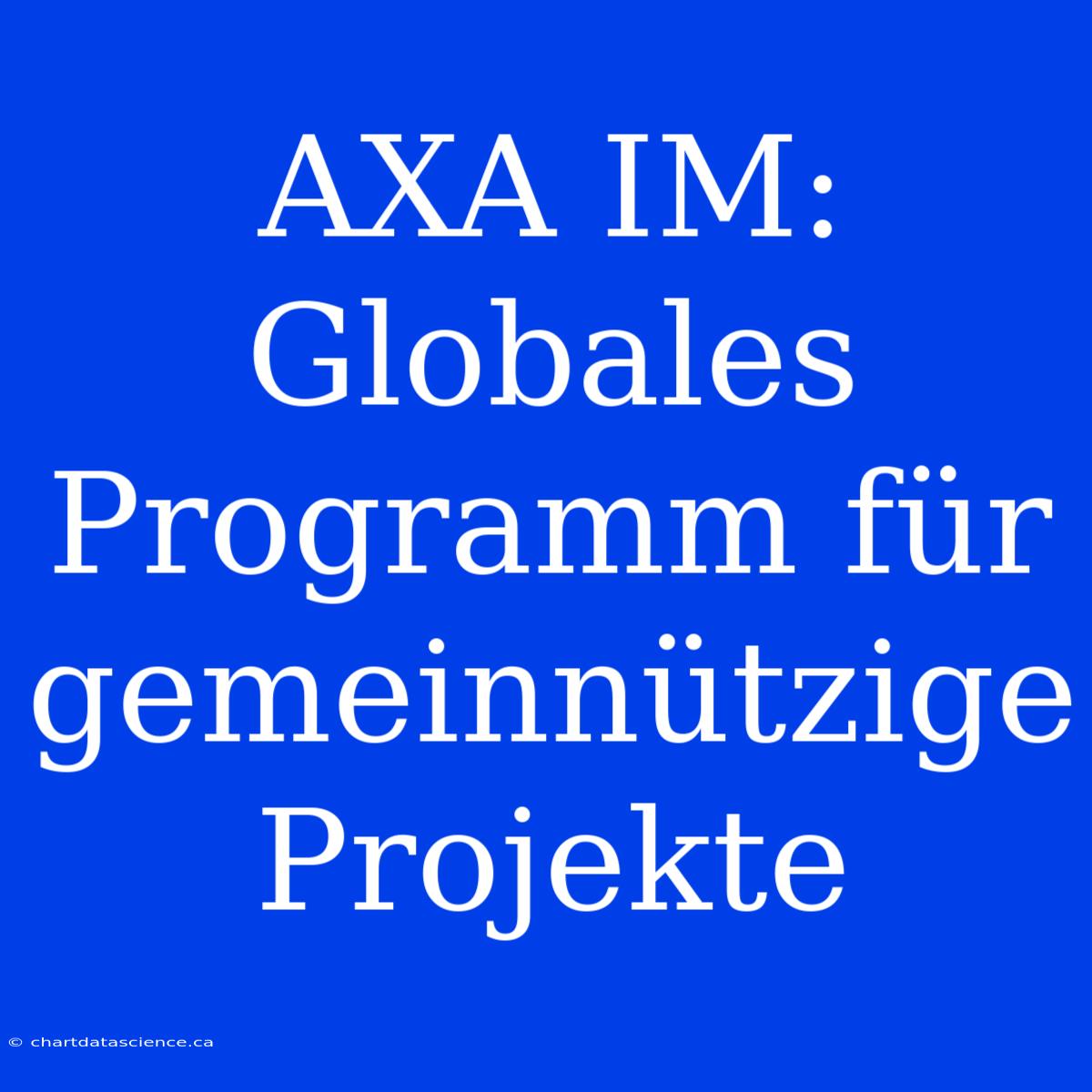 AXA IM: Globales Programm Für Gemeinnützige Projekte