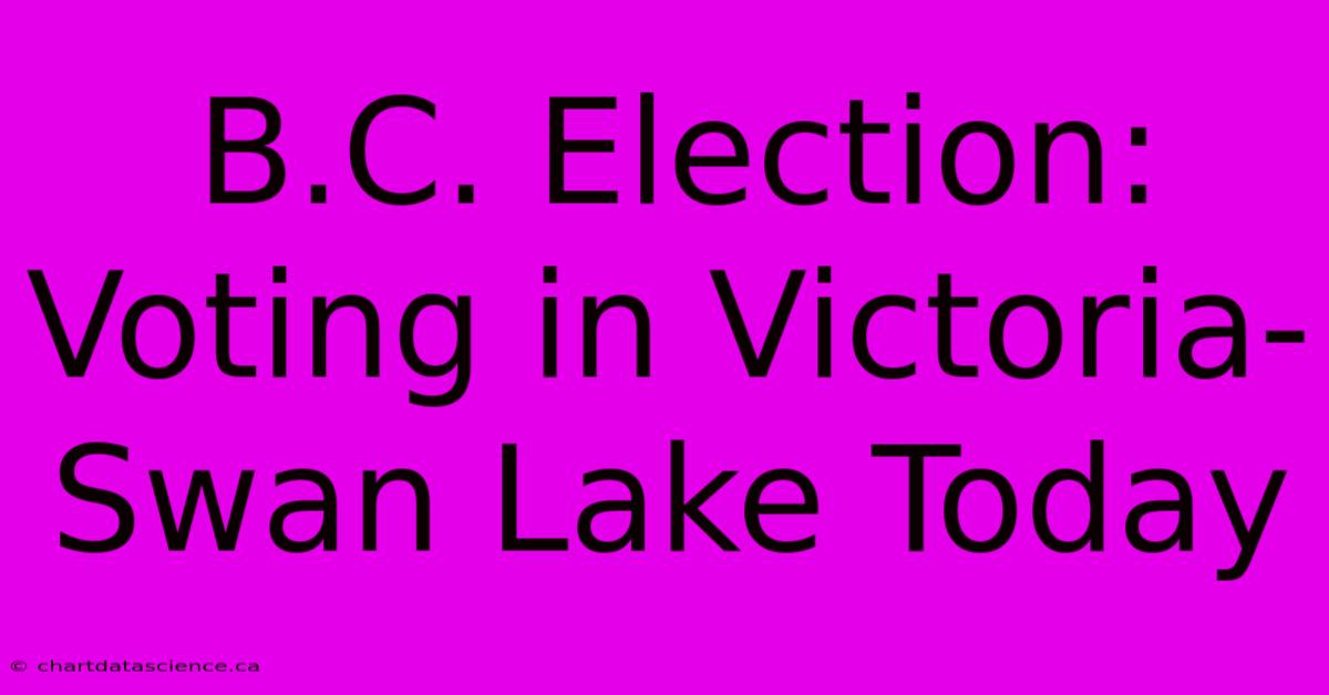 B.C. Election: Voting In Victoria-Swan Lake Today