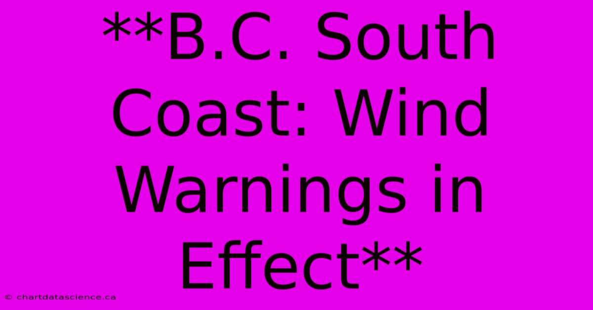 **B.C. South Coast: Wind Warnings In Effect**