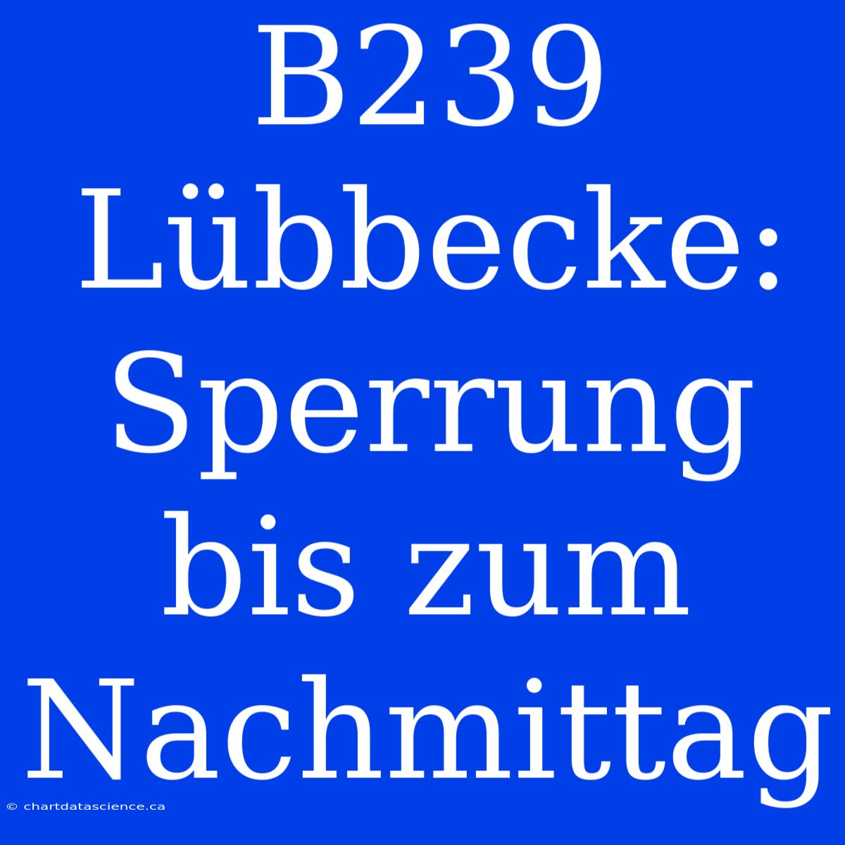 B239 Lübbecke: Sperrung Bis Zum Nachmittag