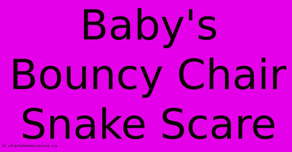 Baby's Bouncy Chair Snake Scare