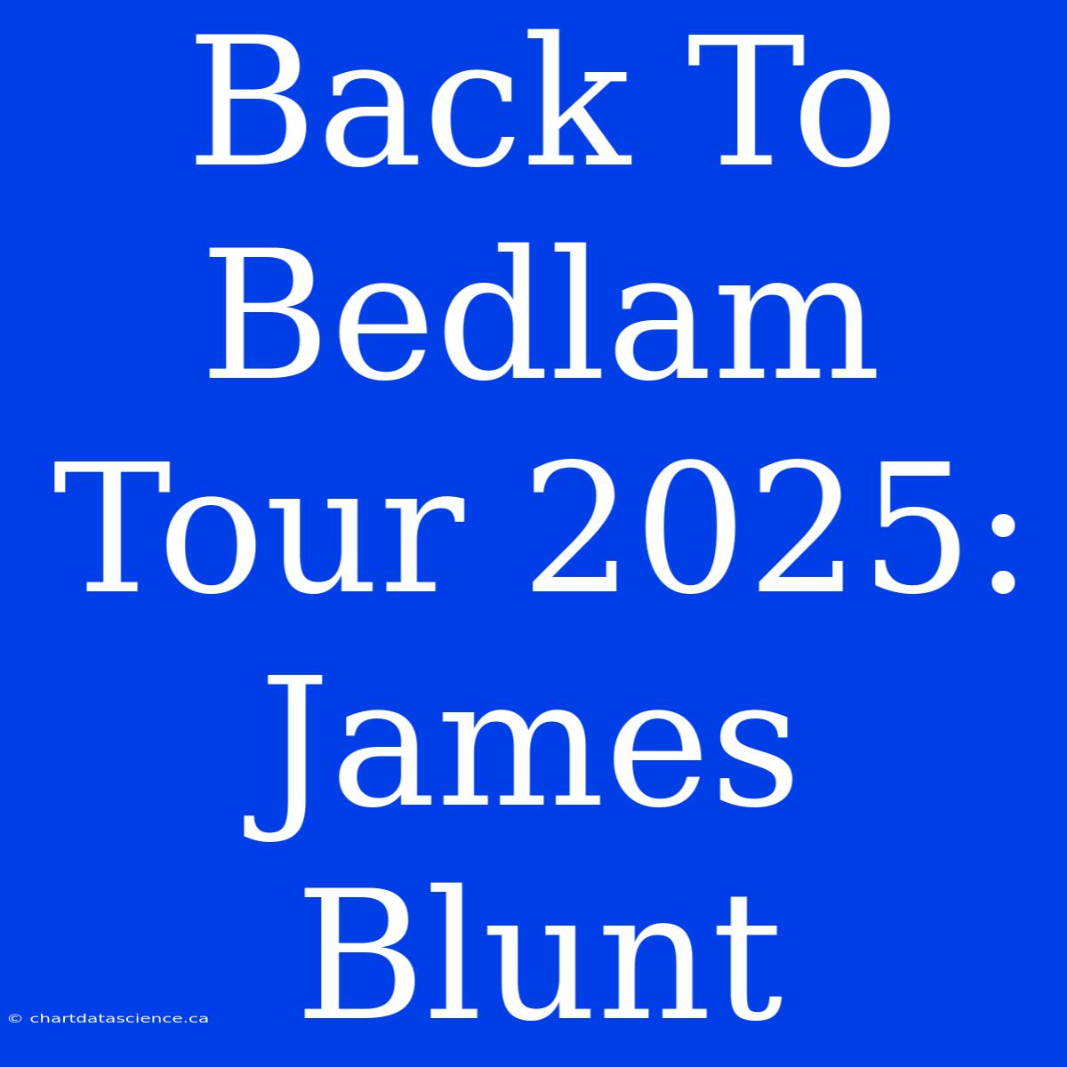 Back To Bedlam Tour 2025: James Blunt