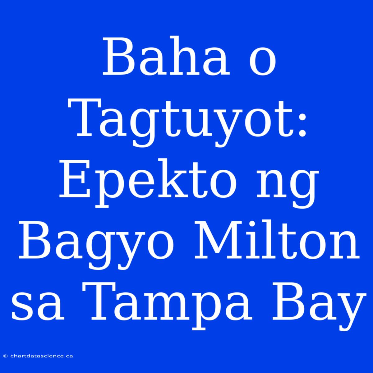 Baha O Tagtuyot: Epekto Ng Bagyo Milton Sa Tampa Bay