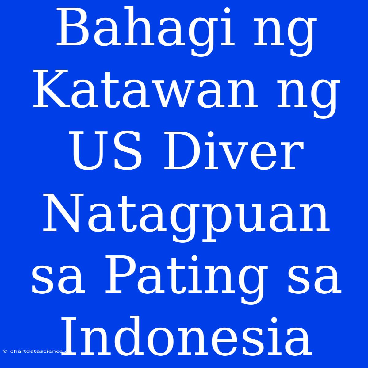 Bahagi Ng Katawan Ng US Diver Natagpuan Sa Pating Sa Indonesia