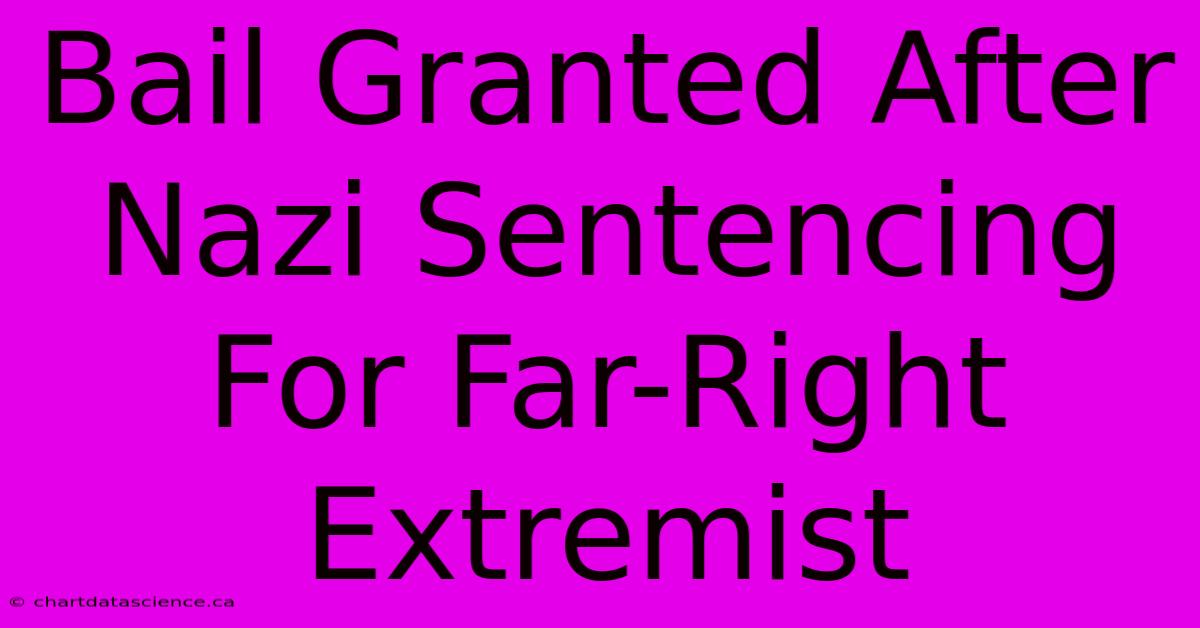 Bail Granted After Nazi Sentencing For Far-Right Extremist