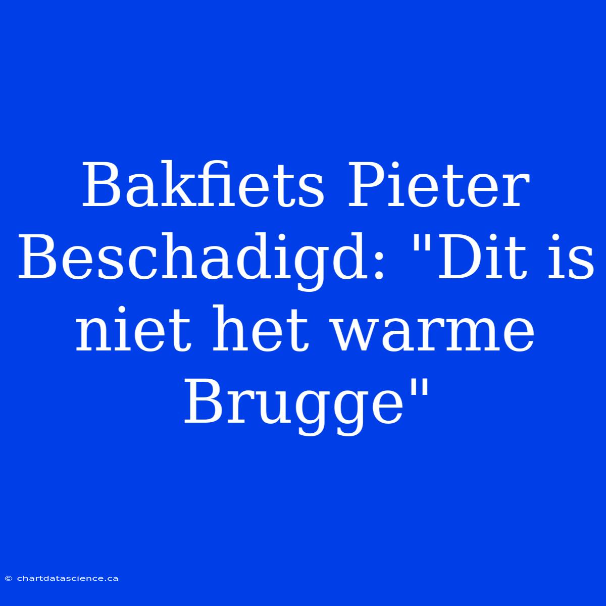 Bakfiets Pieter Beschadigd: 