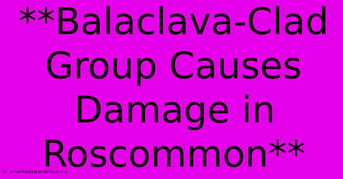 **Balaclava-Clad Group Causes Damage In Roscommon**