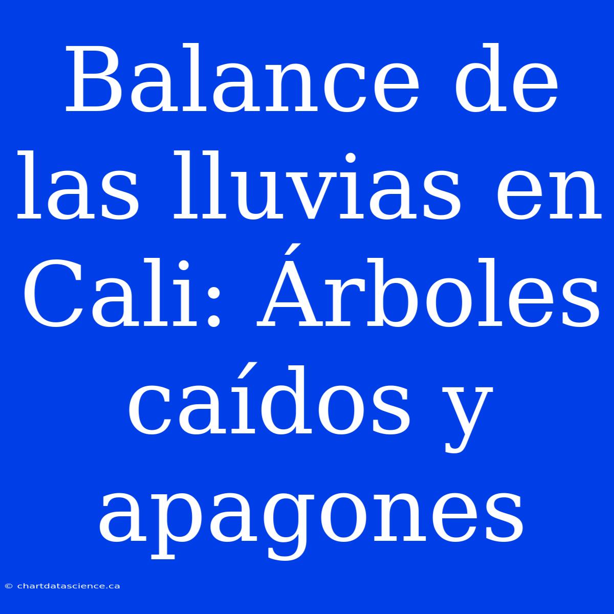 Balance De Las Lluvias En Cali: Árboles Caídos Y Apagones