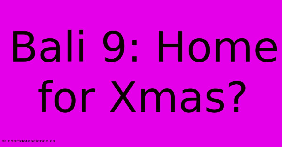 Bali 9: Home For Xmas?