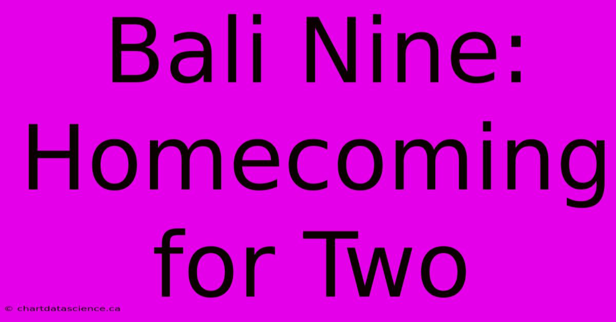 Bali Nine: Homecoming For Two