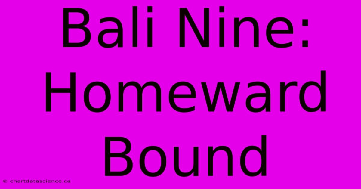 Bali Nine: Homeward Bound