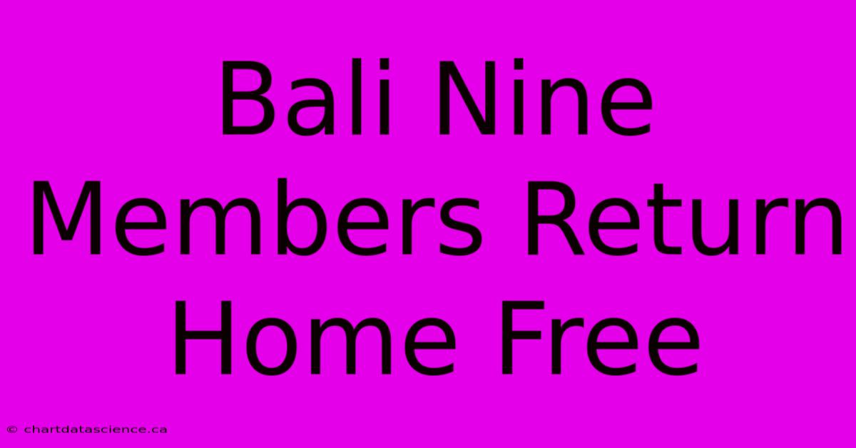 Bali Nine Members Return Home Free