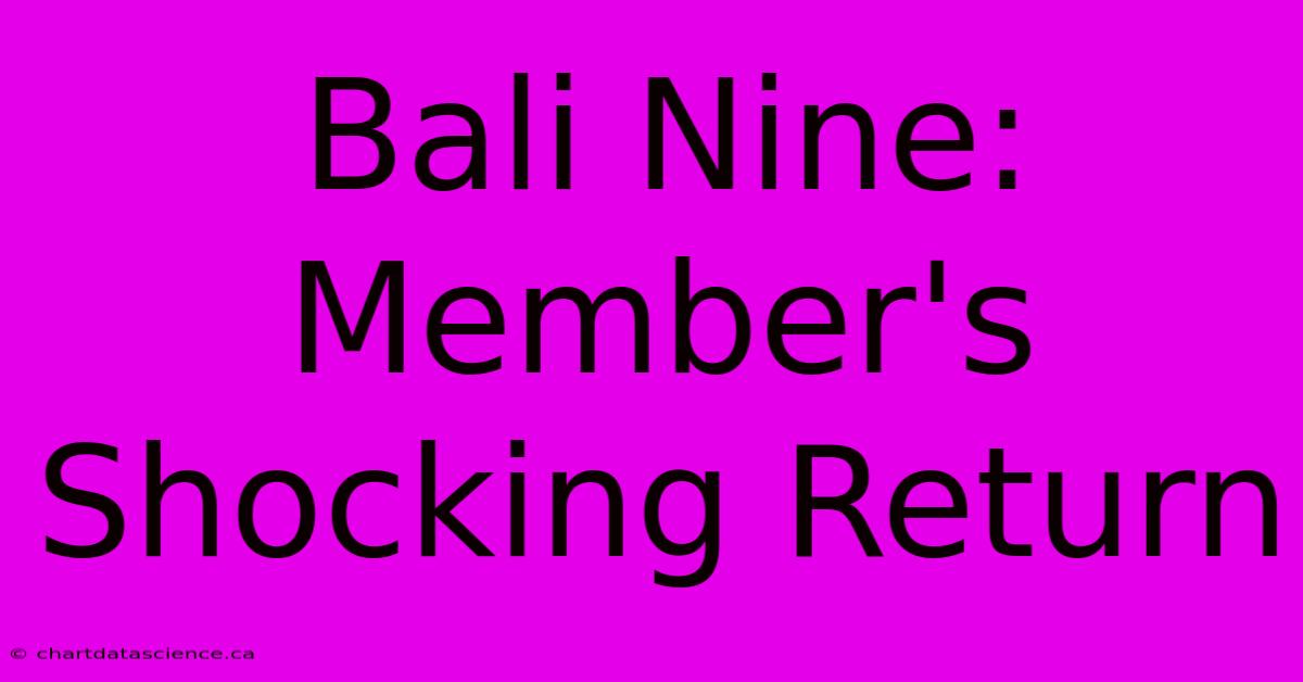 Bali Nine: Member's Shocking Return