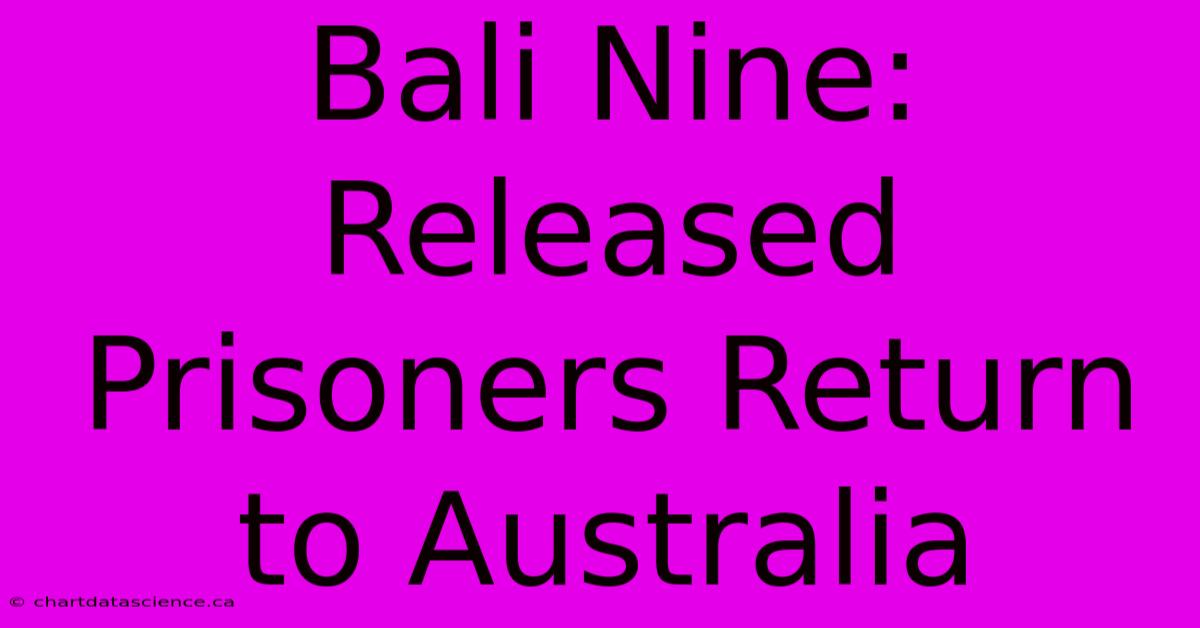 Bali Nine: Released Prisoners Return To Australia