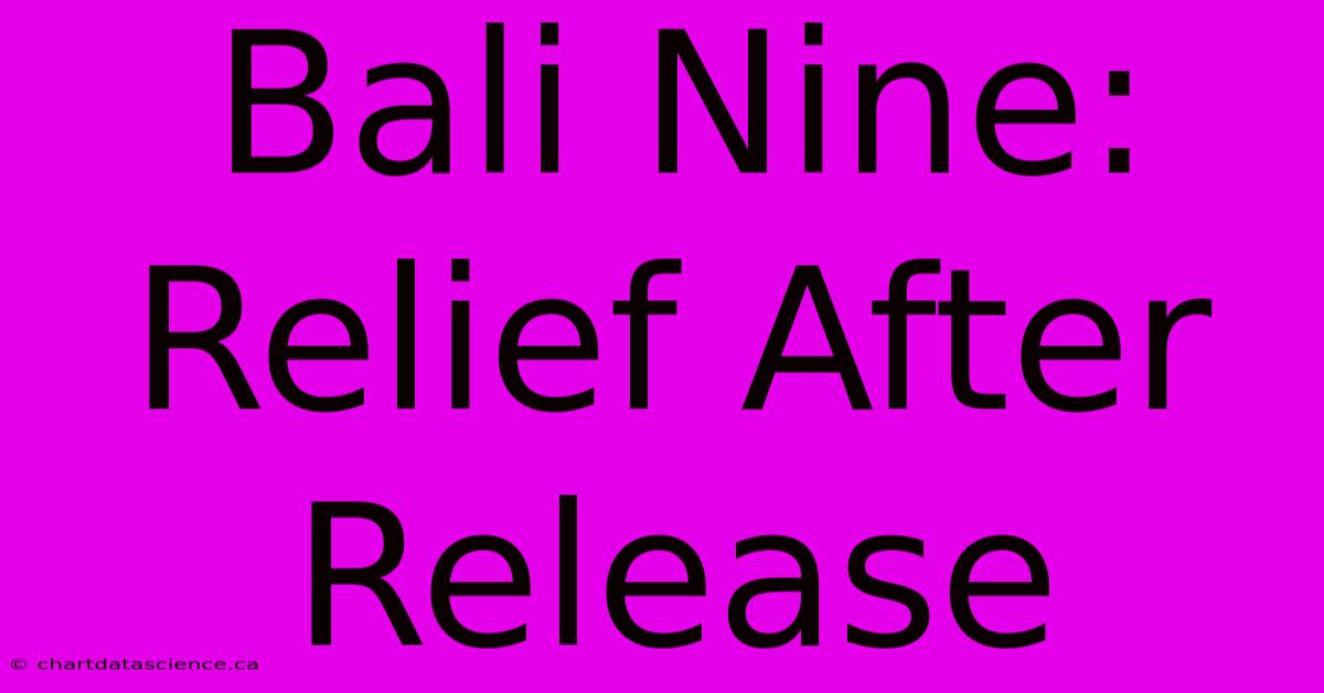 Bali Nine: Relief After Release