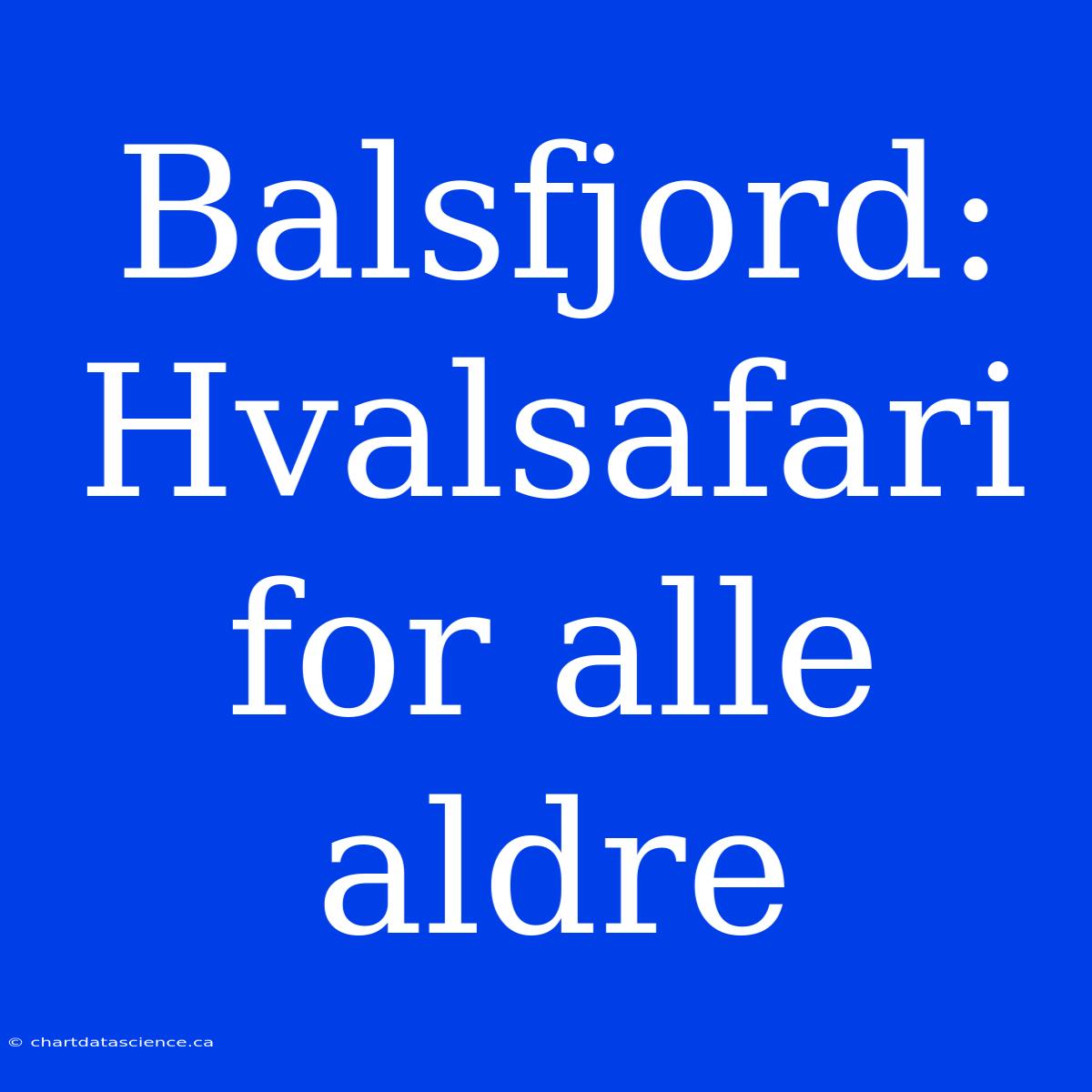 Balsfjord: Hvalsafari For Alle Aldre