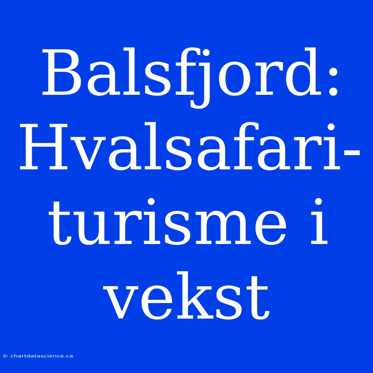 Balsfjord: Hvalsafari-turisme I Vekst