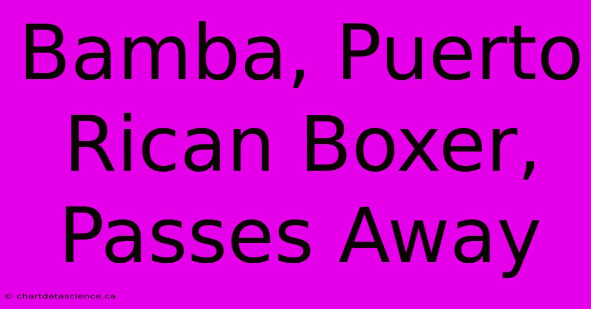 Bamba, Puerto Rican Boxer, Passes Away