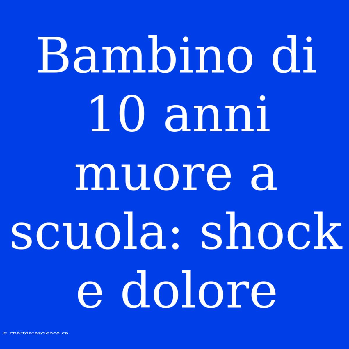 Bambino Di 10 Anni Muore A Scuola: Shock E Dolore