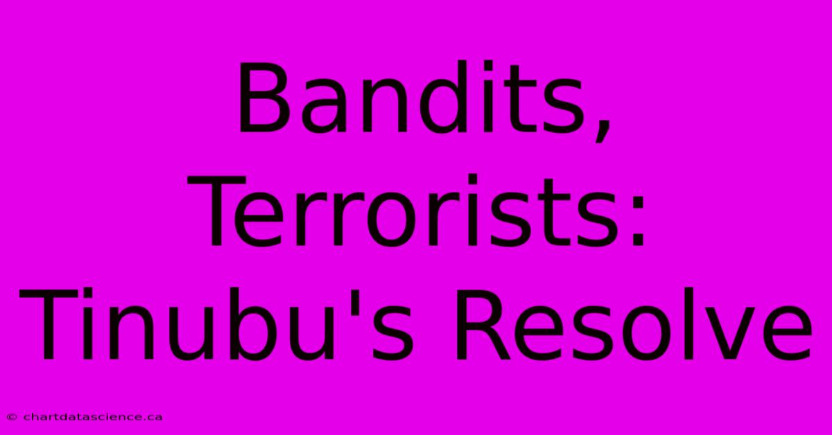 Bandits, Terrorists: Tinubu's Resolve