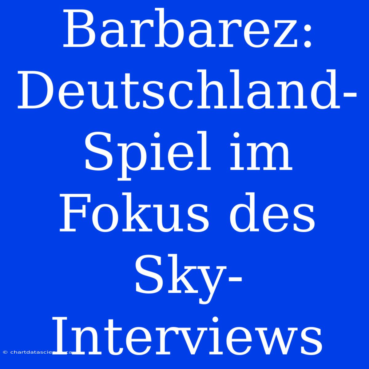 Barbarez: Deutschland-Spiel Im Fokus Des Sky-Interviews