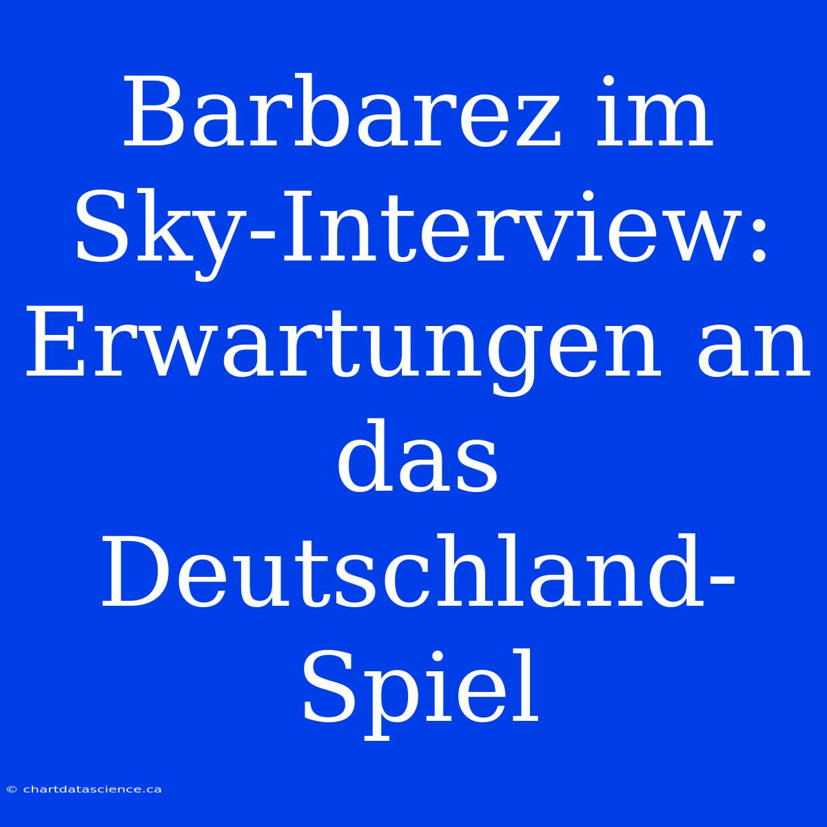 Barbarez Im Sky-Interview: Erwartungen An Das Deutschland-Spiel