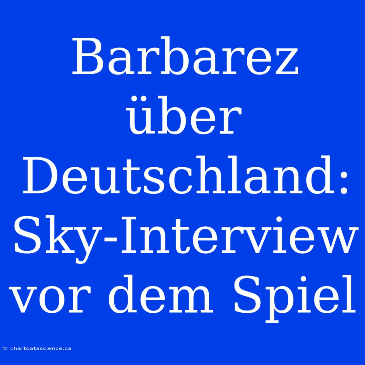 Barbarez Über Deutschland: Sky-Interview Vor Dem Spiel